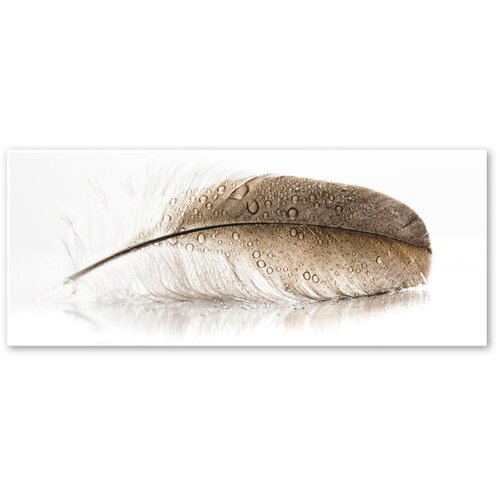 Styler Slika Glasspik Wings, 50 x 125 cm Slike