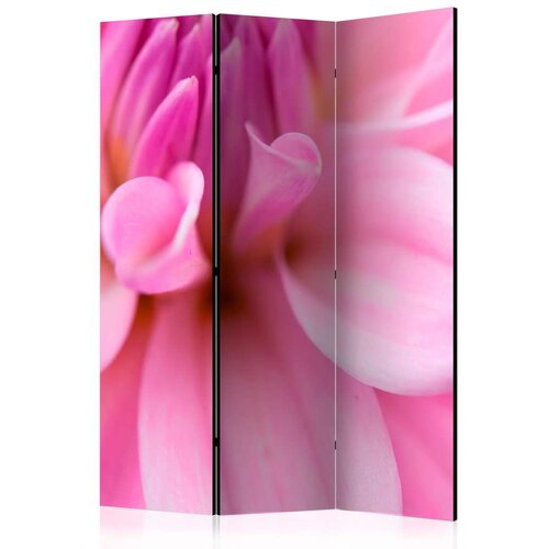  Paravan u 3 dijela - Flower petals - dahlia [Room Dividers] 135x172 Slike