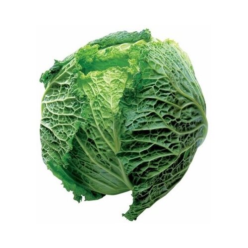 Kelj 1kg Cene