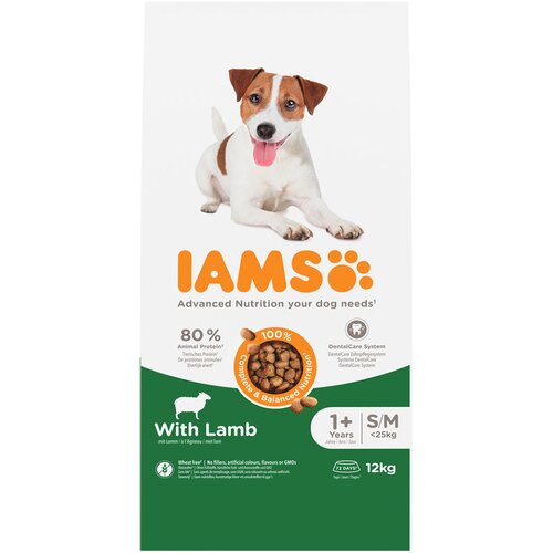 IAMS Advanced Nutrition Adult Small & Medium Dog s janjetinom - 12 kg Cijene
