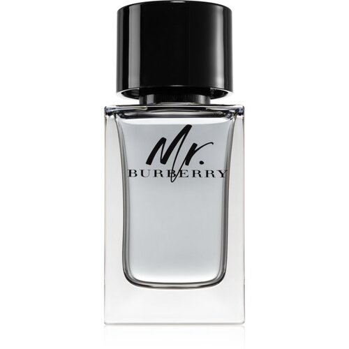 Burberry Mr. toaletna voda za muškarce 100 ml Cijene