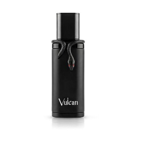French Avenue Mu&amp;scaron;ki parfem Vulcan Black Friday, EDP, 100 ml Slike