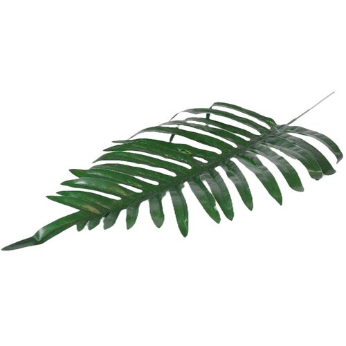  Rezano cvijeće List palme 50 cm Cijene