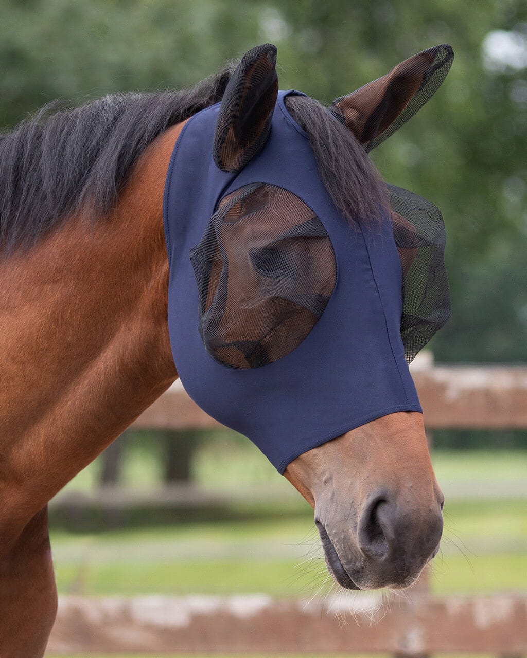 Brands of Q Maska proti insektom Super Bug, navy - Pony Cene