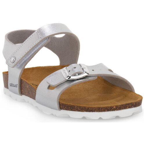 Grunland 40LUCE ARGENTO Siva Slike