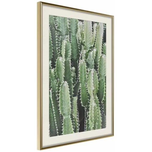  Poster - Cactus Plantation 20x30