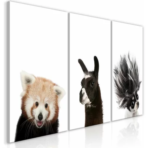  Slika - Friendly Animals (Collection) 120x60
