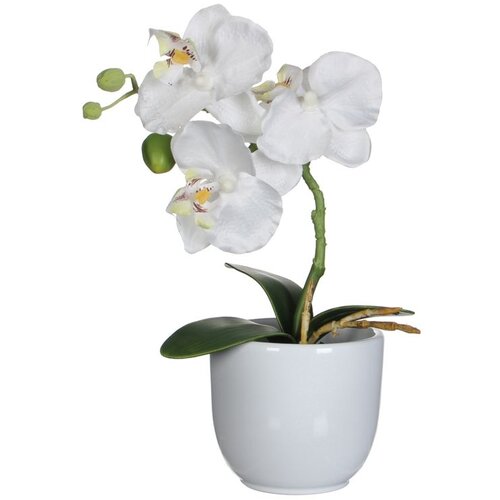 MICA Umjetna biljka Phalaenopsis (Visina: 26 cm, Bijele boje, Plastika) Slike