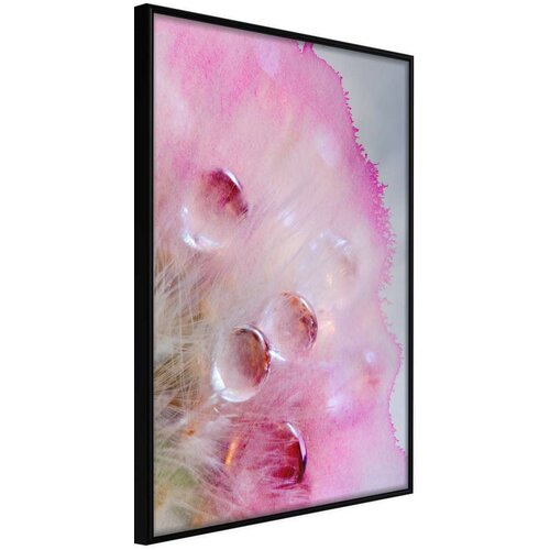  Poster - Tears of Happiness 30x45 Slike