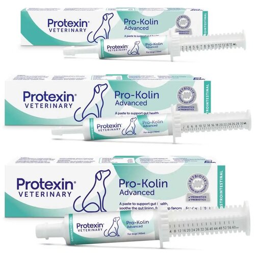 Probiotics Int. PROTEXIN Pro-Kolin Advanced probiotik pasta za pse 60ml Cene