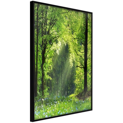  Poster - Forest Path 30x45 Slike