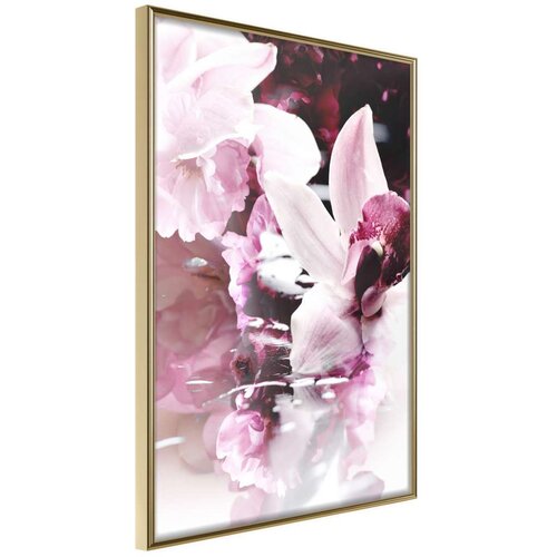  Poster - Flowers on the Water 20x30 Slike