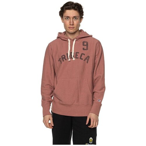 Champion Puloverji X Todd Snyder Rožnata Slike