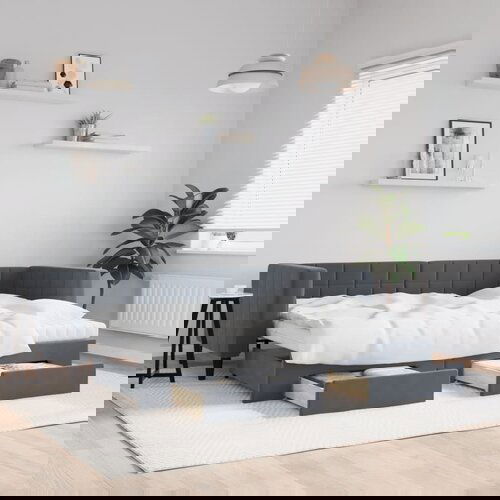 VidaXL Dnevni krevet na razvlačenje tamnosivi 80 x 200 cm bar&amp;scaron;unasti Slike