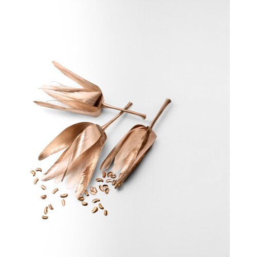 Tiffany &amp;amp; Co. Rose Gold parfumska voda za ženske 50 ml Slike