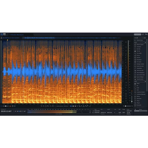 iZotope RX 11 Standard: CRG from any paid product (Digitalni proizvod)
