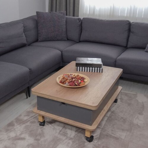 Hanah home Sto za dnevnu sobu Dy Adt 90x40x60 cm, Antracit Cene