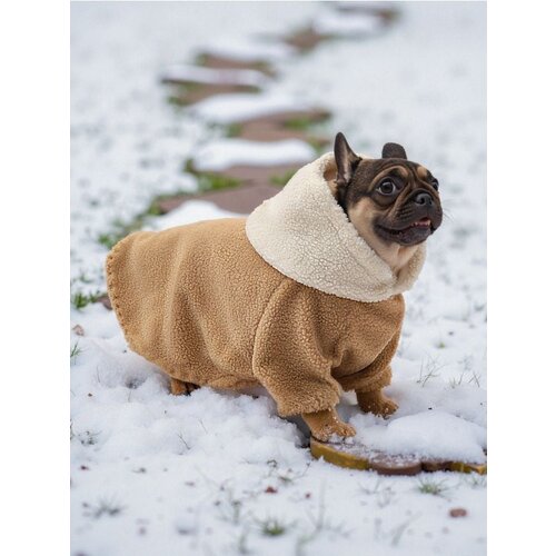 Sinsay Jakna za psa Cijene