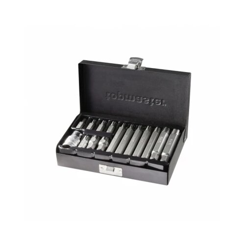 Euromaster Co.ltd Bitovi set 15 kom RIBE 1M6-M14 390175 Cene