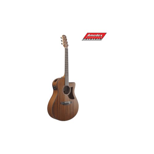  GITARA EL.-AK. IBANEZ AAM54CE OPN Cijene