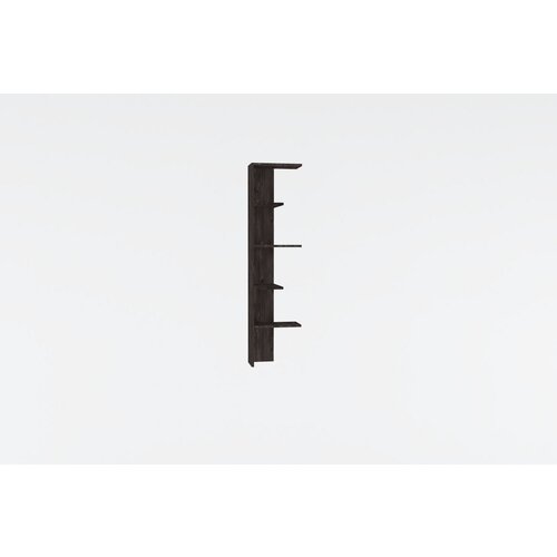 Hanah home Bled - Anthracite Anthracite Bookshelf Cene