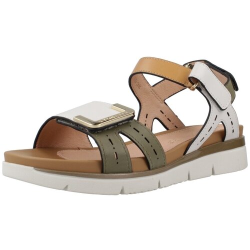 Stonefly 148867 Zelena Slike