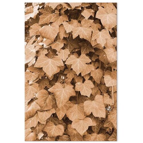  Slika - Autumn Ivy (1 Part) Vertical 40x60 Cene