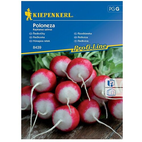 KIEPENKERL Sjeme povrća tikvica Poloneza (Raphanus sativus, Berba: Ožujak, 10 m²) Cijene