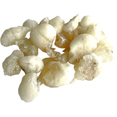 Jungle Way Oman Hojari White Royal tamjan 20 g Slike