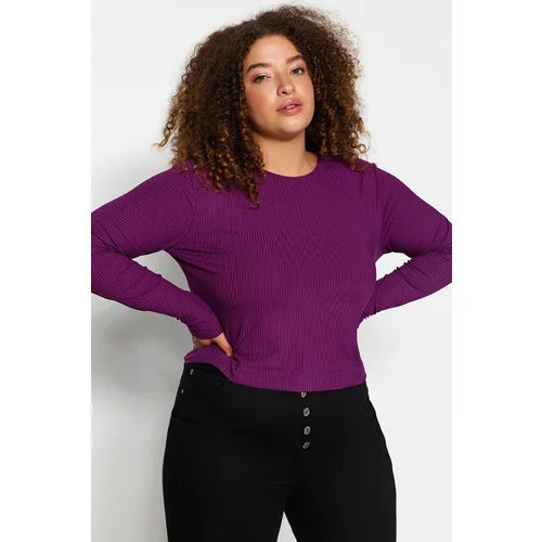 Trendyol Curve Plum Knitted Blouse