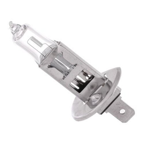 Magneti Marelli Sijalica 12V H1 55W PI4 5S bela Cene