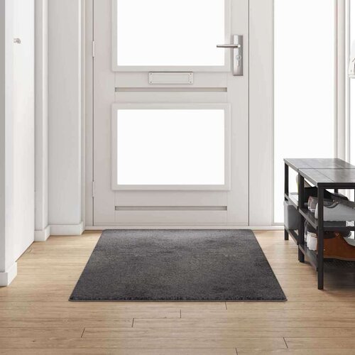 vidaXL Tepih trkač Siva 100 x 250 cm 100% Polipropilen Tuft Cijene