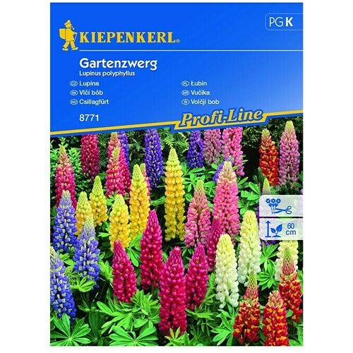 KIEPENKERL Sjeme cvijeća Vučika Gartenzwerg (Lupinus polyphyllus, Raznobojna) Cijene