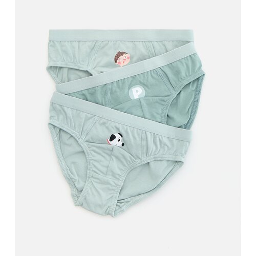 Reserved BOYS` BRIEFS MULTI - pepermint-zeleno Slike