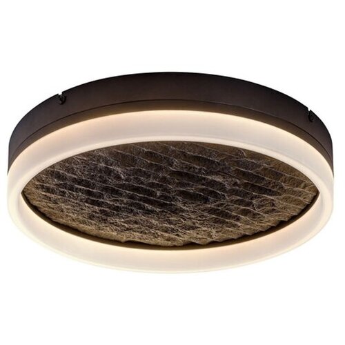 Rabalux Timmo LED plafonjera 40 cm 24 W daljinski upravljač crna 71523 Slike