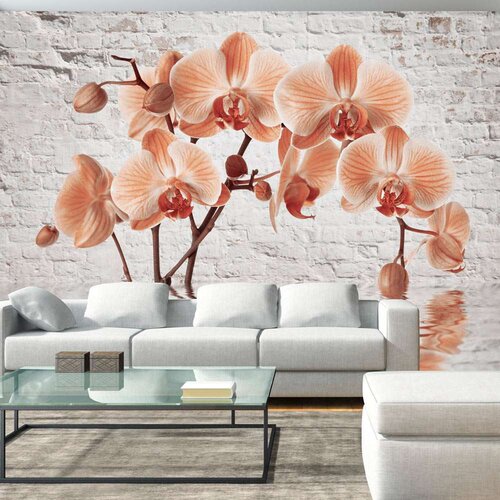  Tapeta - The Orange Arc 400x280 Slike