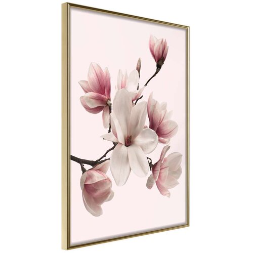  Poster - Blooming Magnolias I 30x45 Slike