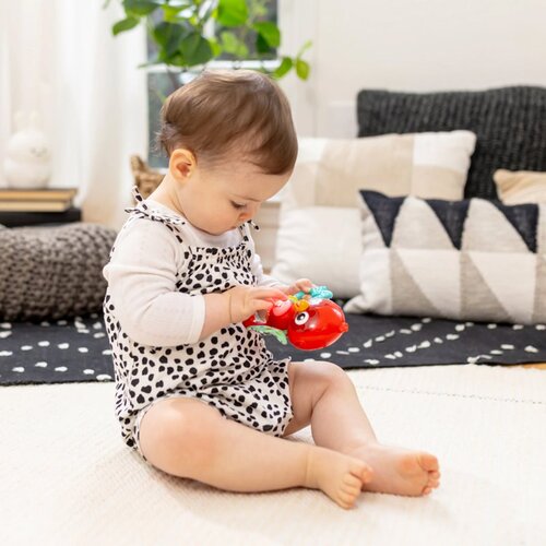 BABY EINSTEIN Roxy&amp;#039;s Bright Flight&amp;trade; glasbena igrača 3m 1 kos Slike