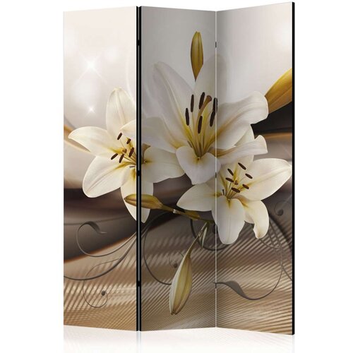  Paravan u 3 dijela - The Desert's Garden [Room Dividers] 135x172 Cijene