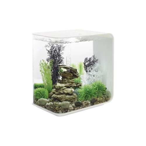 Oase Akvarij 30 l Sa LED rasvjetom 45925 Cijene