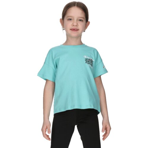 Champion Crewneck t-shirt Cene