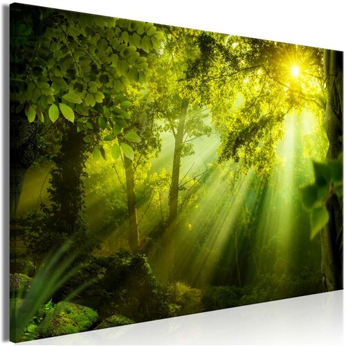  Slika - In the Sunshine (1 Part) Wide 90x60 Cijene