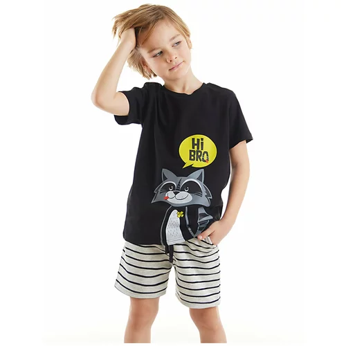 Denokids Raccoon Boys Black T-shirt with Stripes and Shorts Set