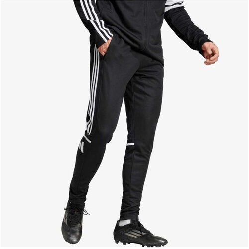 Adidas Sq25 tr pnt Cene