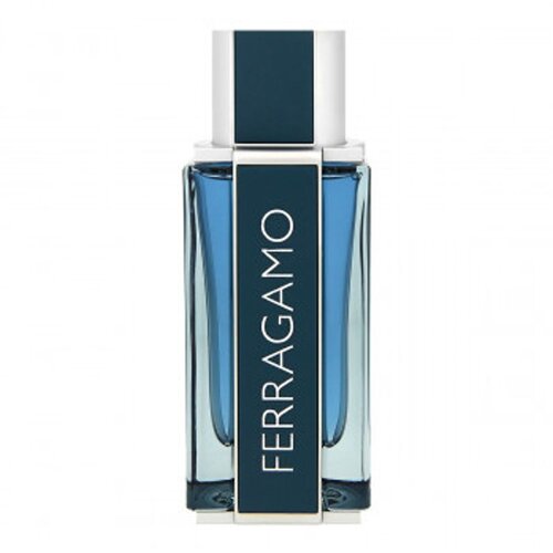 Salvatore Ferragamo Ferragamo Intense Leather Eau De Parfum 100 ml (man) Cijene