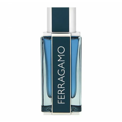 Salvatore Ferragamo Ferragamo Intense Leather parfumska voda 100 ml za moške