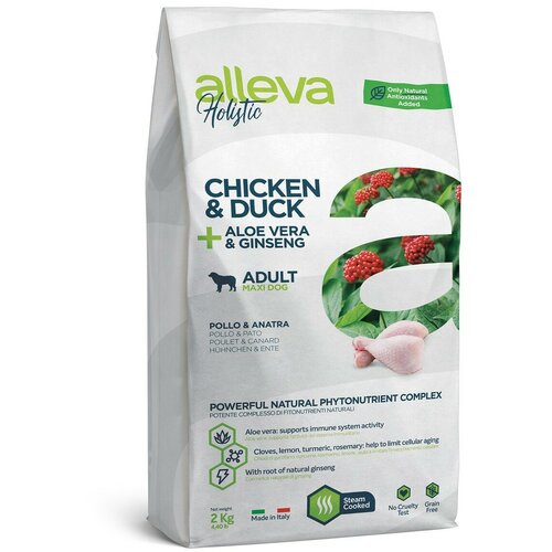 Diusapet alleva hrana za pse holistic maxi adult - piletina i pačetina 2kg Slike