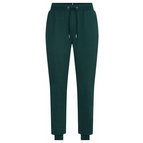 Tommy Hilfiger MW0MW24521MBP Zelena Cijene