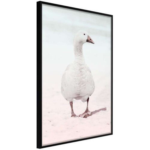  Poster - Walking Goose 20x30 Slike