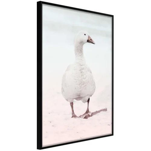  Poster - Walking Goose 20x30